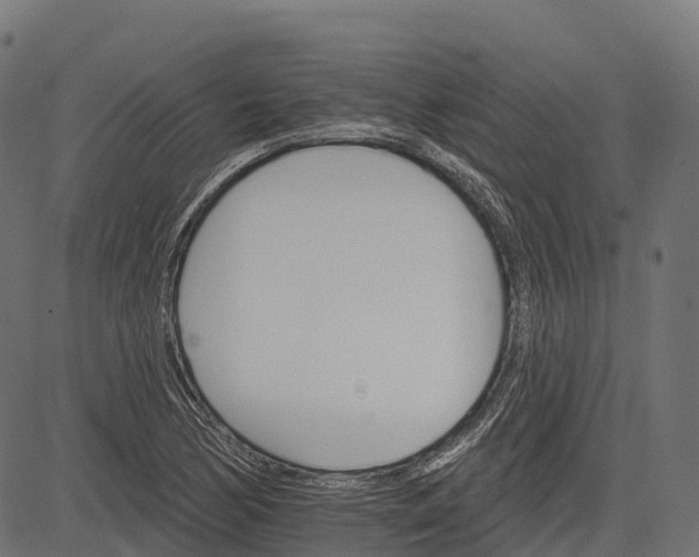 X0000084521170200703091554