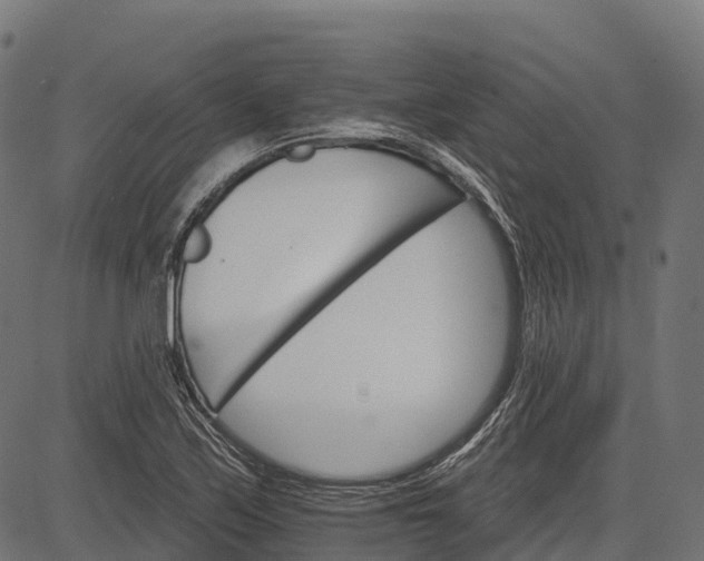 X0000084521171200703091554