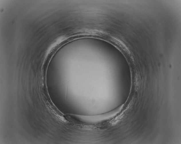 X0000084521172200703091554