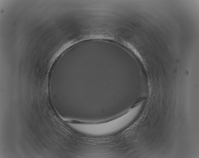 X0000084521173200703091554