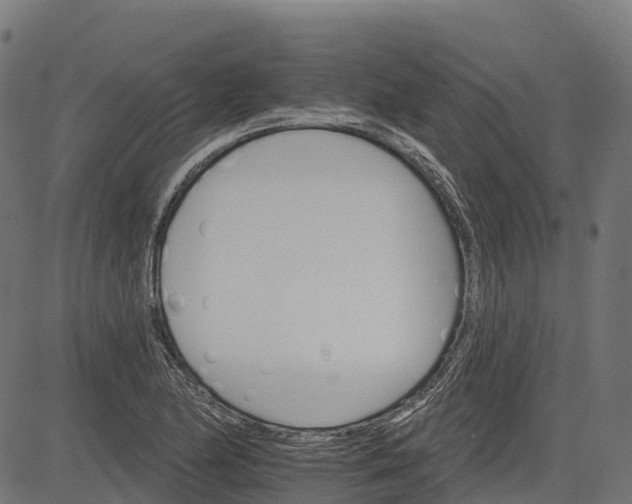 X0000084521174200703091554