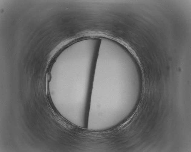 X0000084521175200703091554