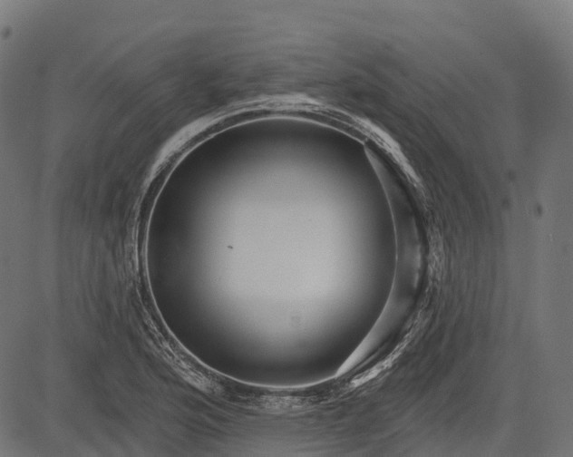 X0000084521176200703091554