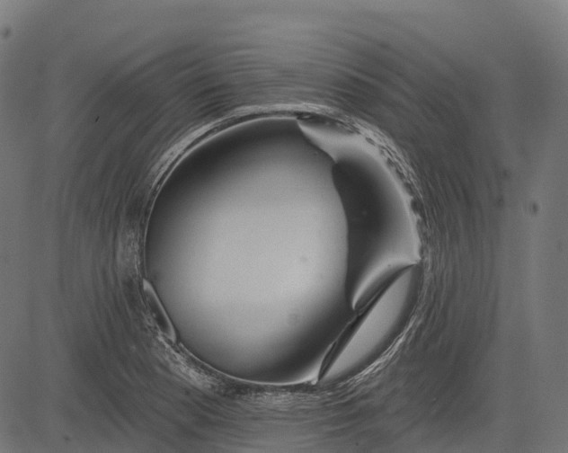 X0000084521177200703091554