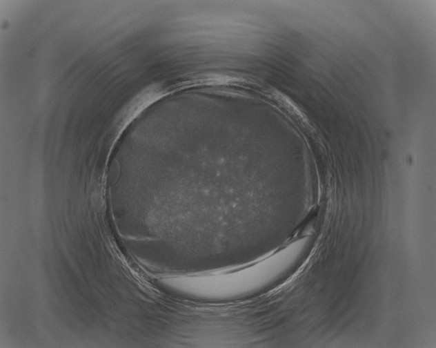 X0000084521178200703091554