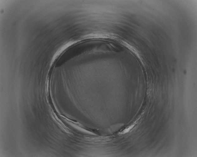 X0000084521179200703091554