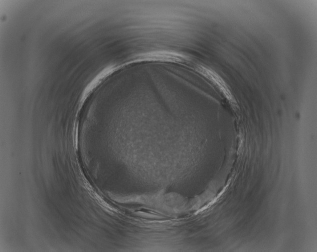 X0000084521180200703091554