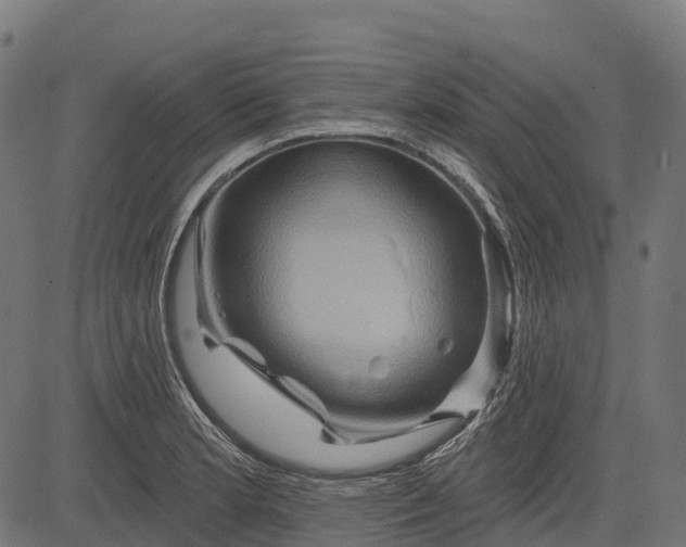 X0000084521181200703091554