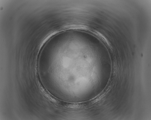 X0000084521182200703091554