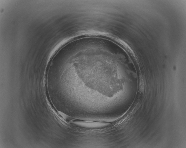 X0000084521183200703091554