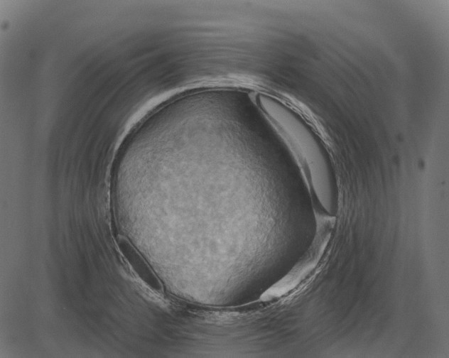 X0000084521184200703091554