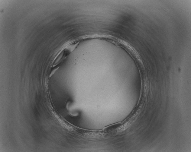 X0000084521185200703091554