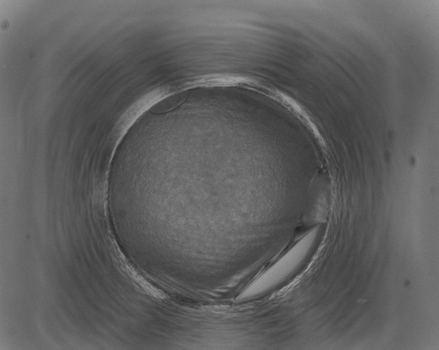 X0000084521186200703091554