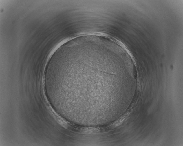 X0000084521187200703091554