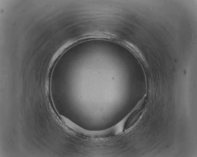 X0000084521188200703091554