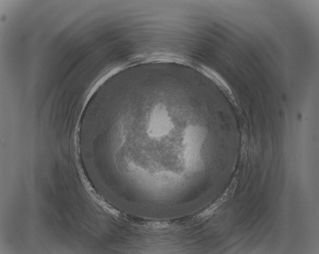 X0000084521190200703091554