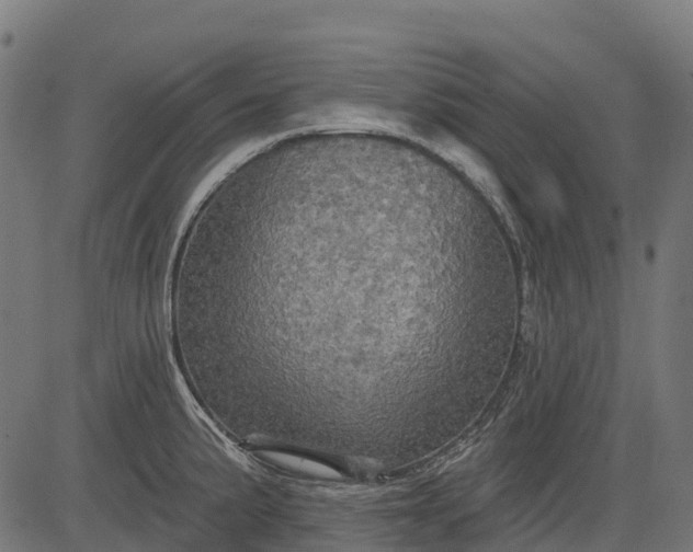 X0000084521191200703091554