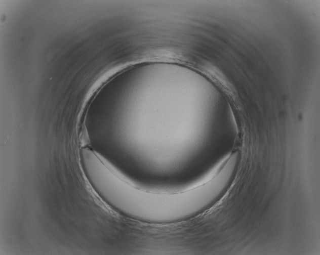 X0000084521192200703091554