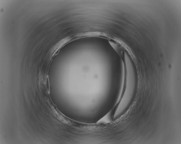 X0000084521193200703091554