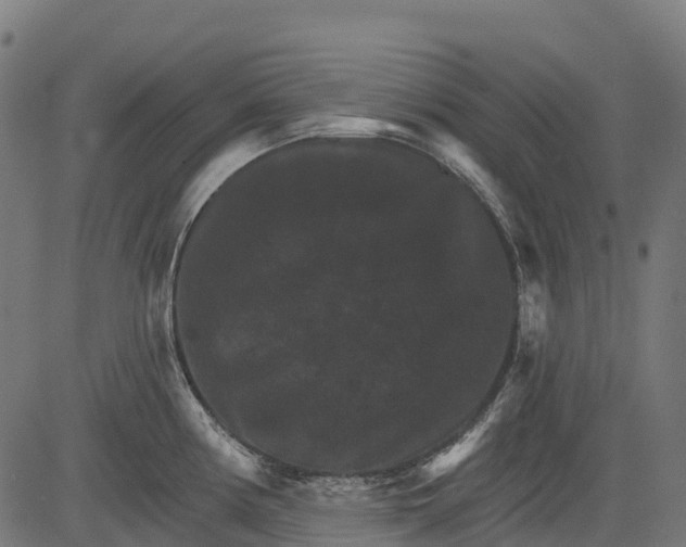 X0000084521194200703091554