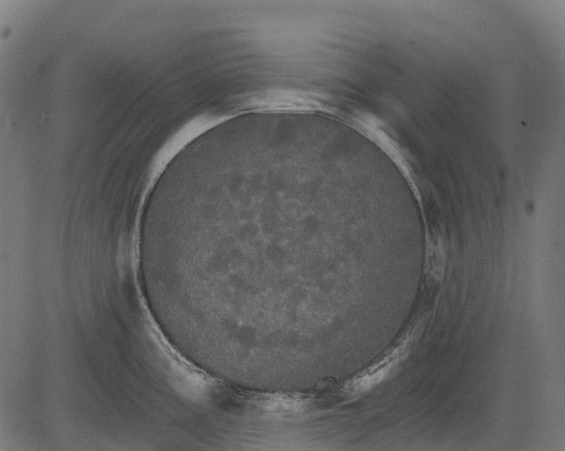 X0000084521195200703091554