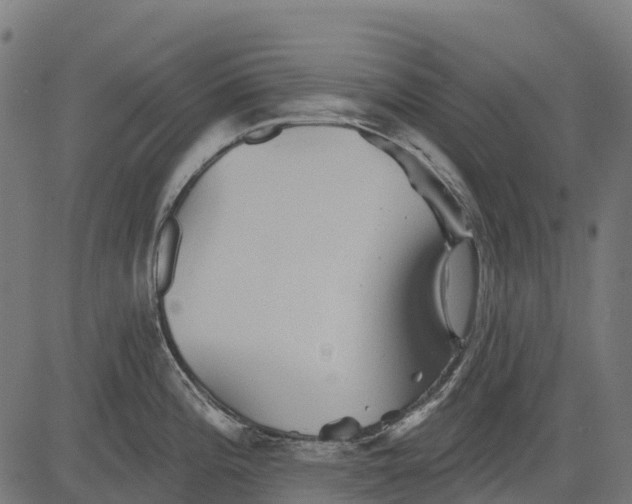 X0000084521196200703091554