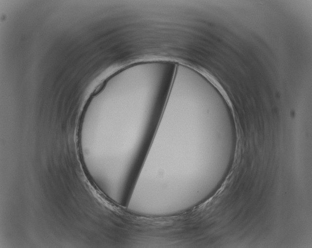 X0000084521197200703091554