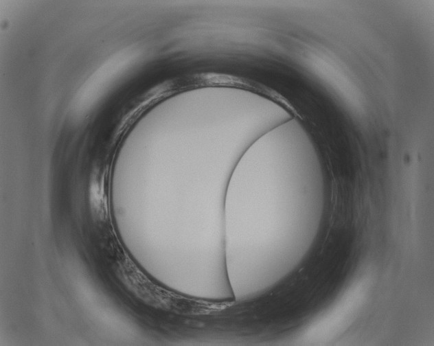 X0000084521198200703091554