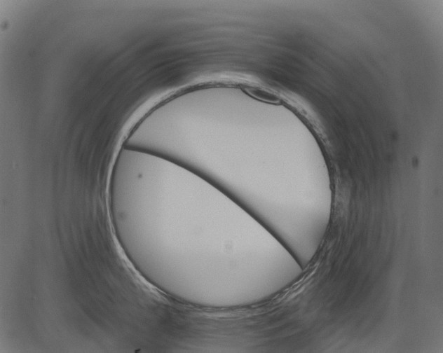 X0000084521199200703091554