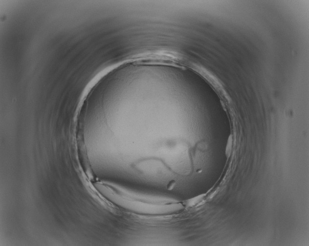 X0000084521200200703091554