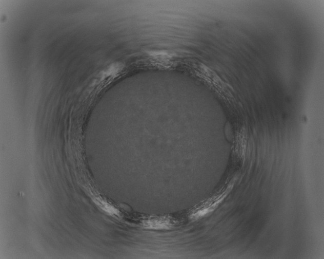 X0000084521201200703091553