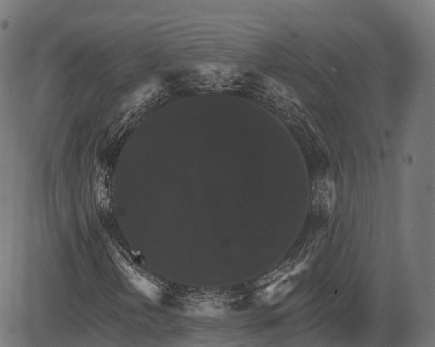 X0000084521202200703091553