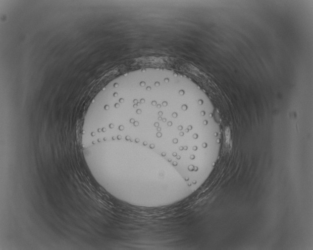 X0000084521203200703091553