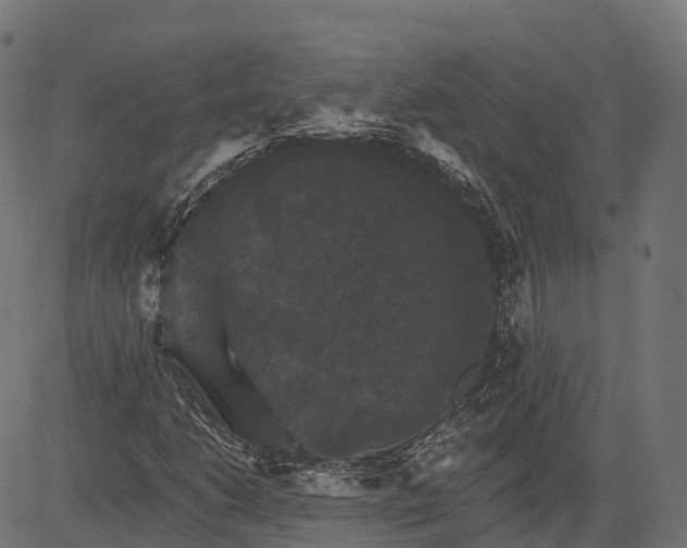 X0000084521206200703091553