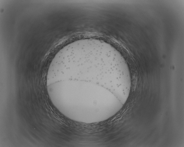 X0000084521207200703091553