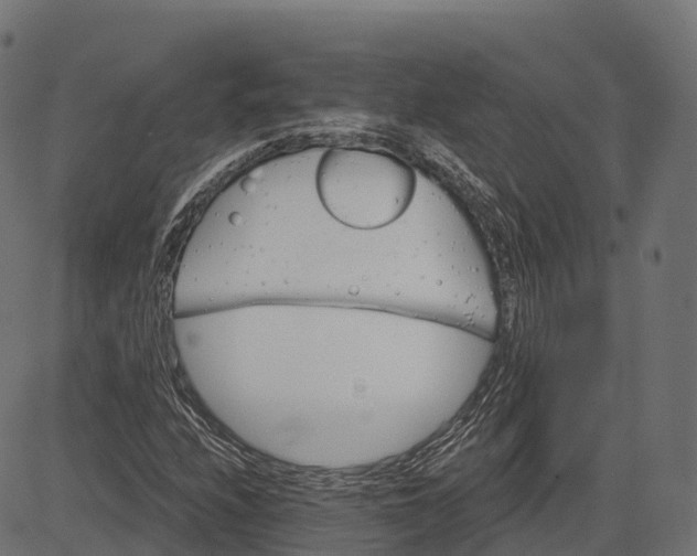 X0000084521208200703091553