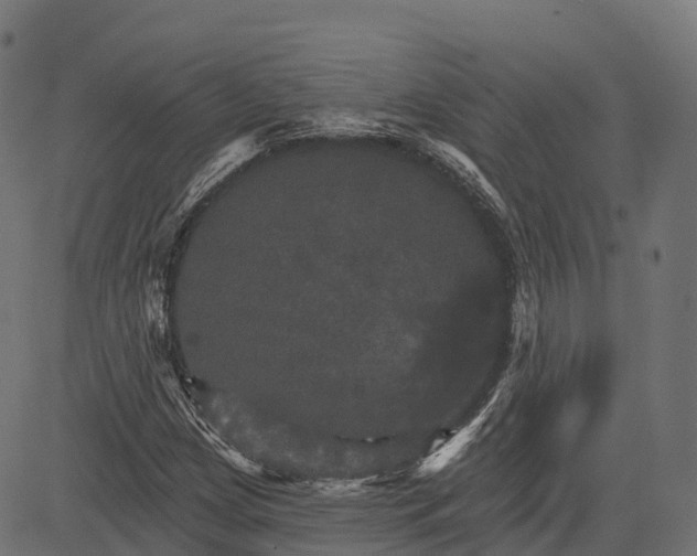 X0000084521209200703091553