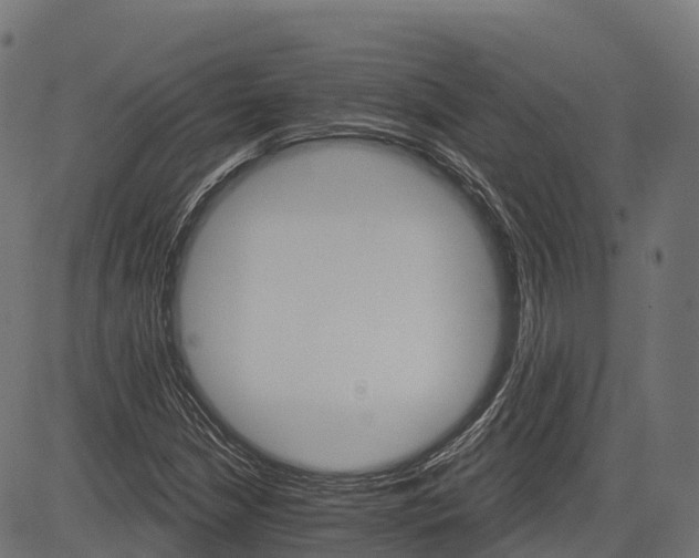 X0000084521210200703091553