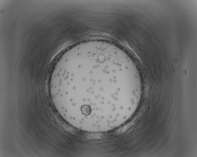 X0000084521211200703091553