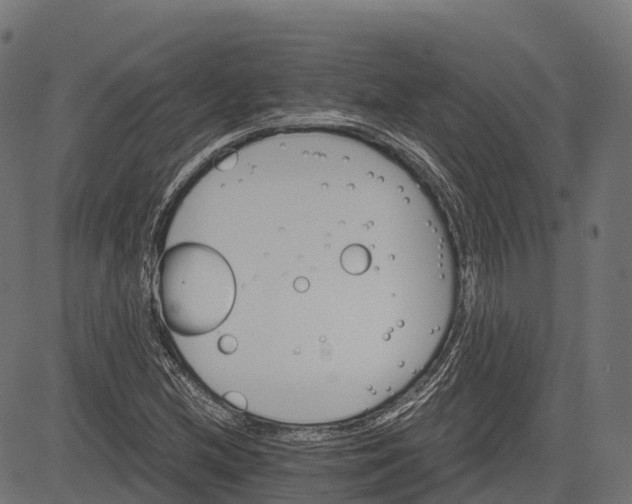 X0000084521212200703091553