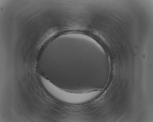 X0000084521213200703091553