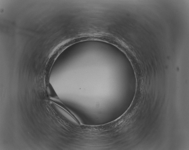 X0000084521214200703091553