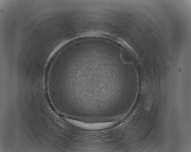 X0000084521216200703091553