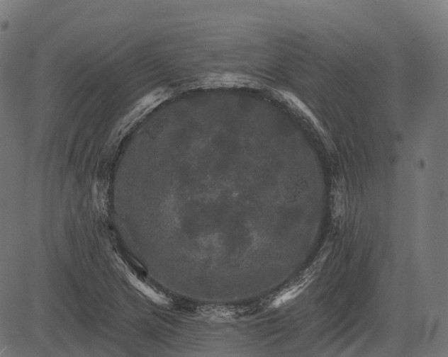 X0000084521217200703091553