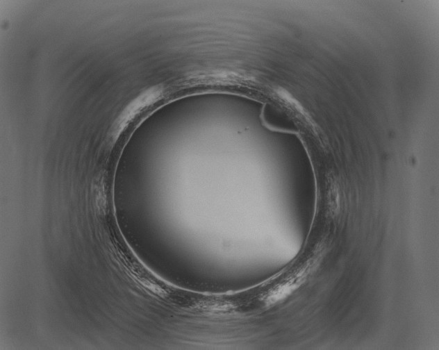 X0000084521218200703091553