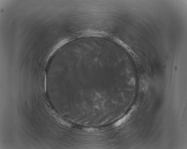 X0000084521219200703091553