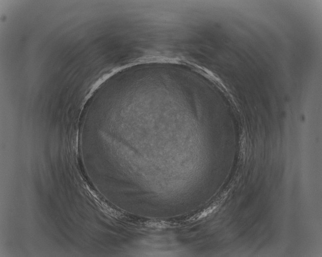 X0000084521220200703091553