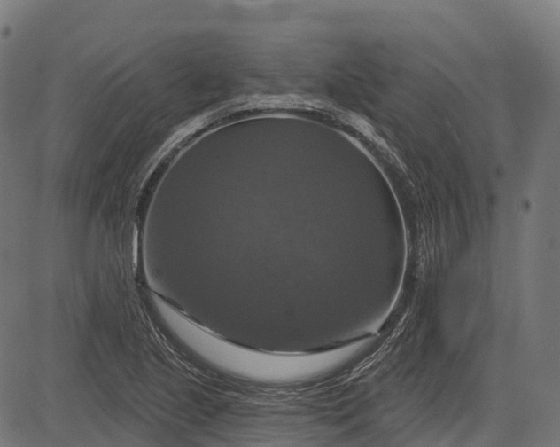 X0000084521221200703091553