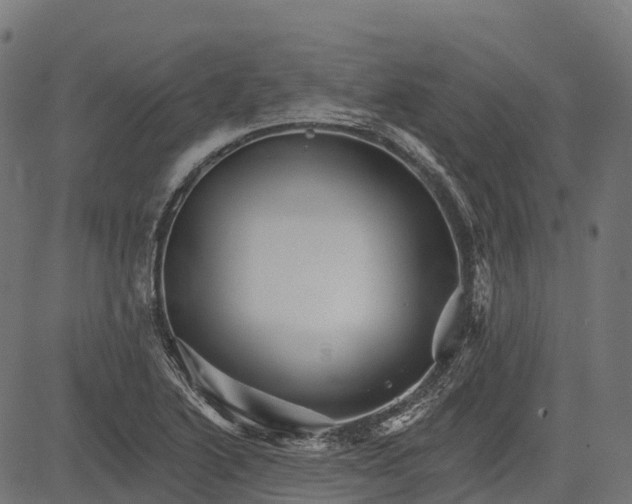 X0000084521222200703091553