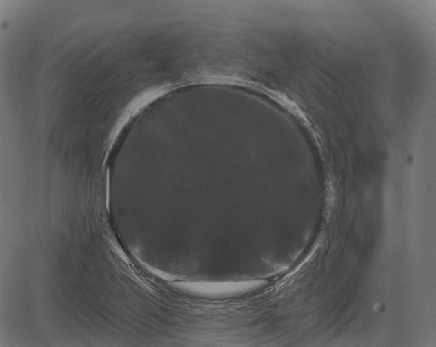 X0000084521223200703091553